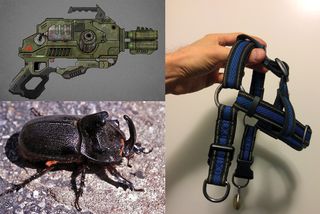 Collage of a gun sketch, a beetle and a dog harness
