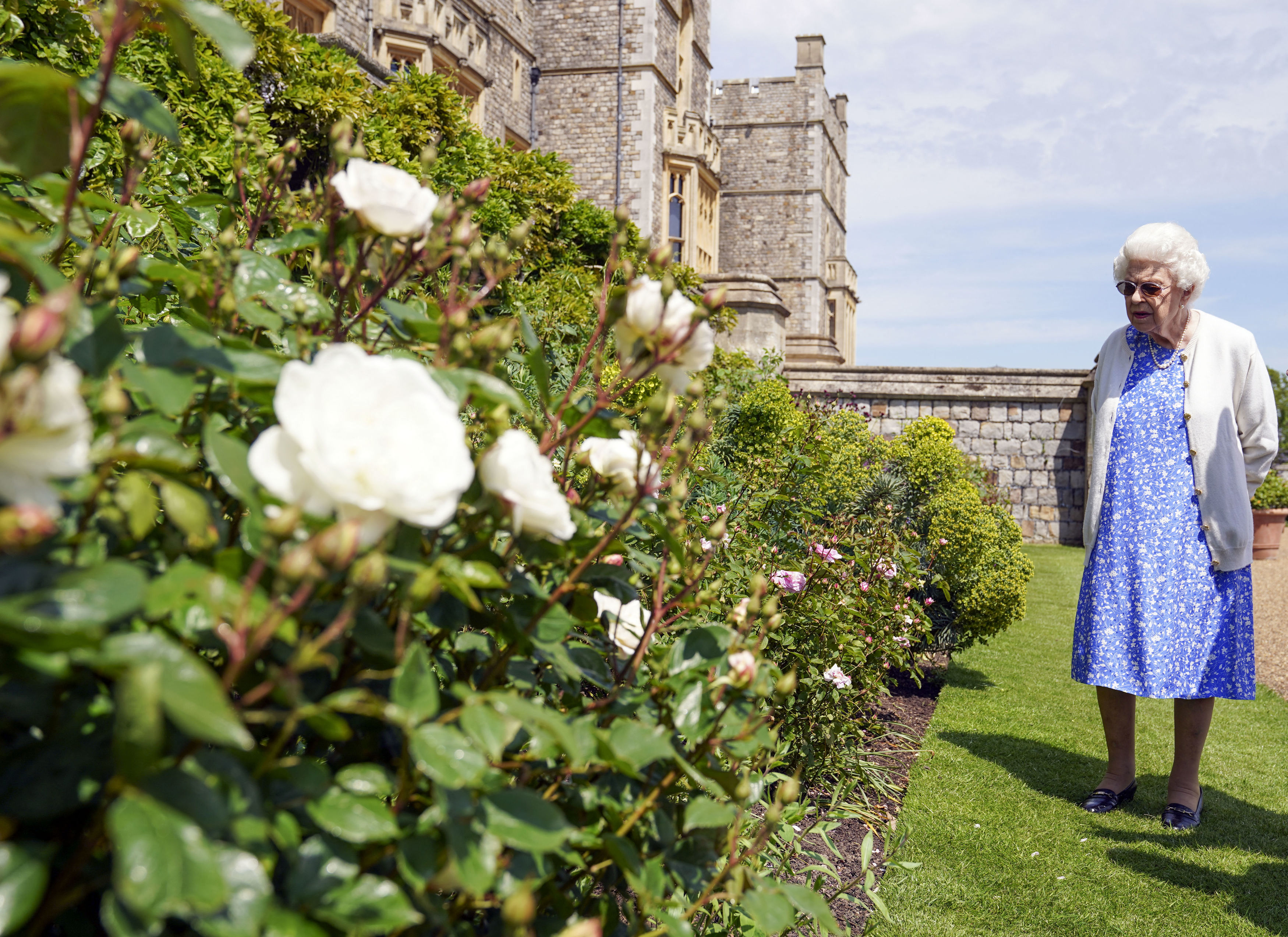 TOPSHOT - Britain&amp;amp;apos;s Queen Elizabeth II views a flower bed in the grounds of Windsor Castle, after she was presented with a Duke of Edinburgh rose, named in memory of her late husband Prince Philip, the Duke of Edinburgh, by the President of the Royal Horticultural Society, Keith Weed (unseen), at Windsor Castle in Windsor, west of London, on June 2, 2021. The newly bred deep pink commemorative rose from Harkness Roses has officially been named in memory of the Duke of Edinburgh. A royalty from the sale of each rose will go to The Duke of Edinburgh&amp;amp;apos;s Award Living Legacy Fund which will give more young people the opportunity to take part in the Duke of Edinburgh Award. (Photo by Steve Parsons / POOL / AFP) (Photo by STEVE PARSONS/POOL/AFP via Getty Images)