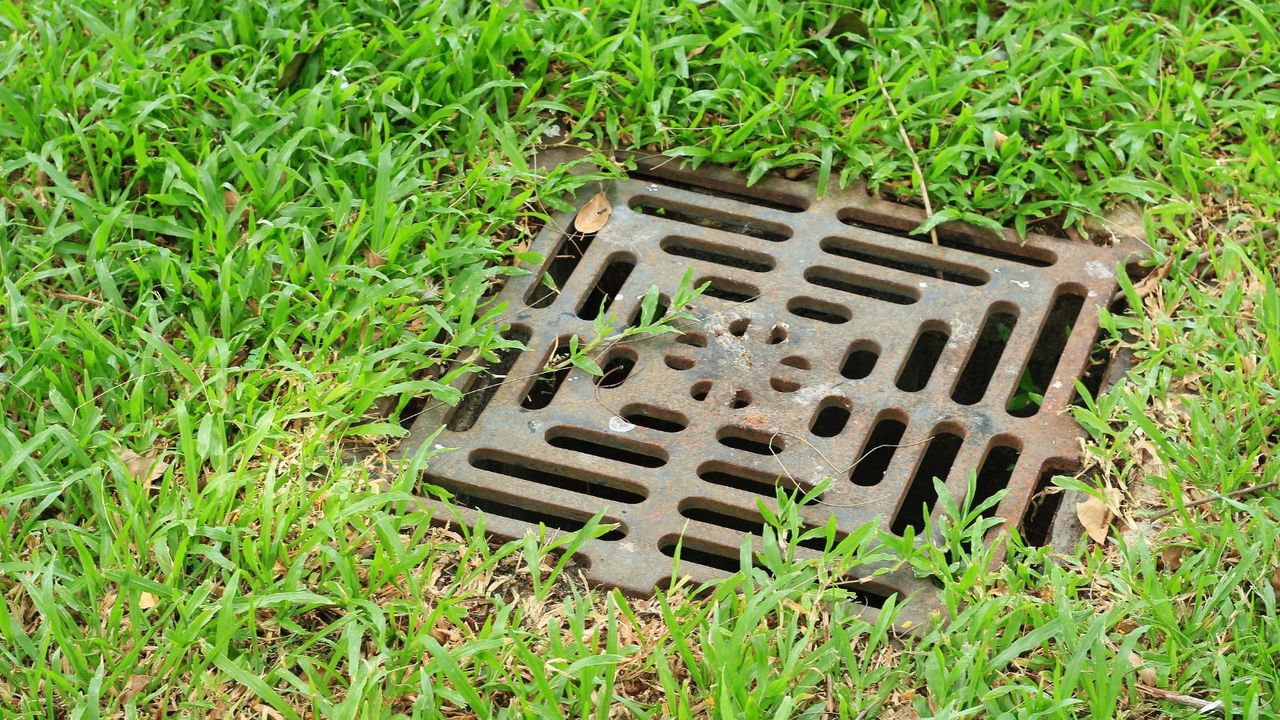 A drain in a yard 