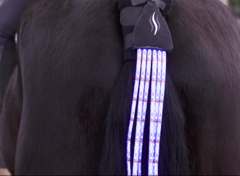 tail-lights.png