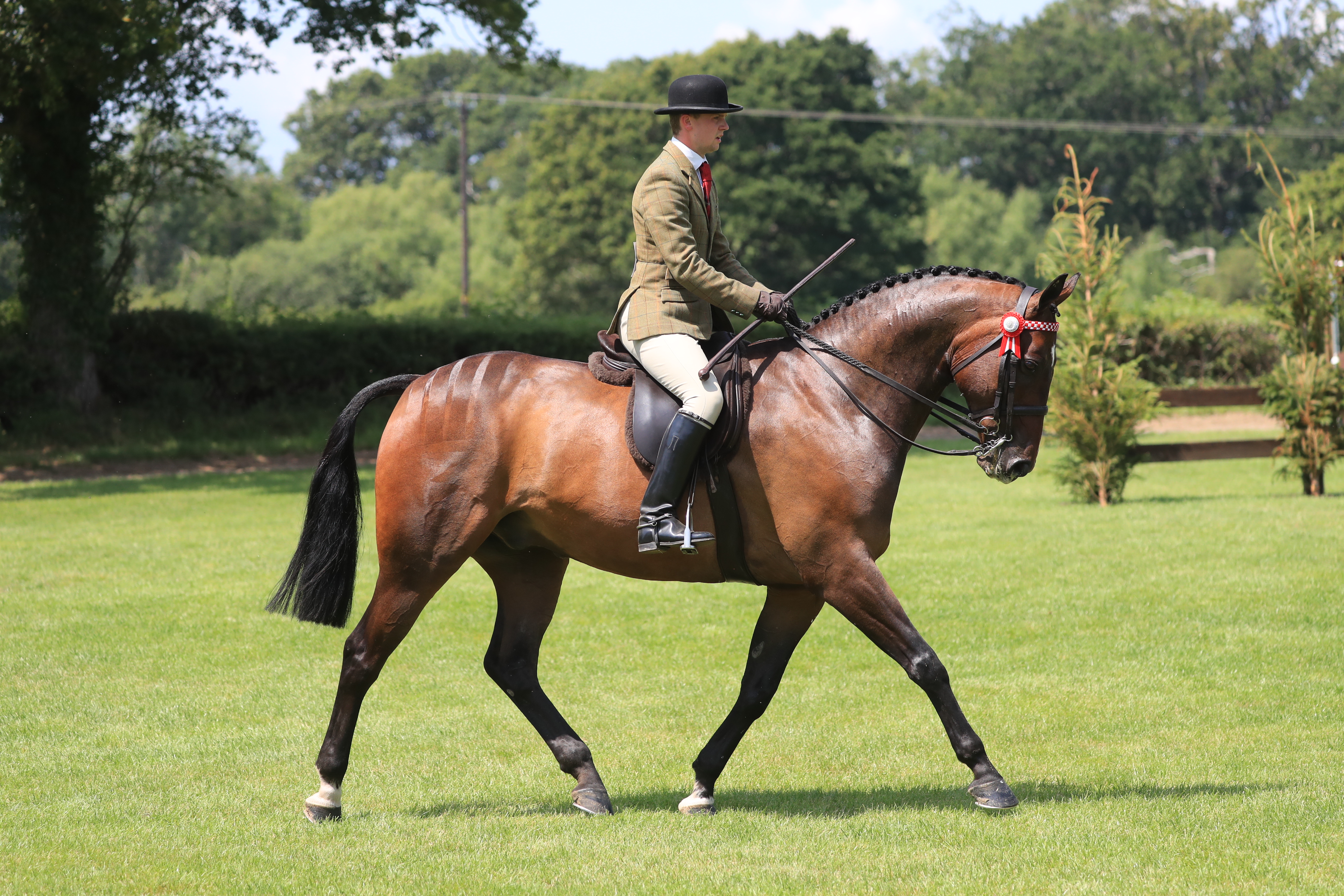 Glen Allen and Greylands Ace High