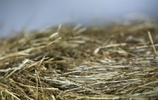 haylage.jpg