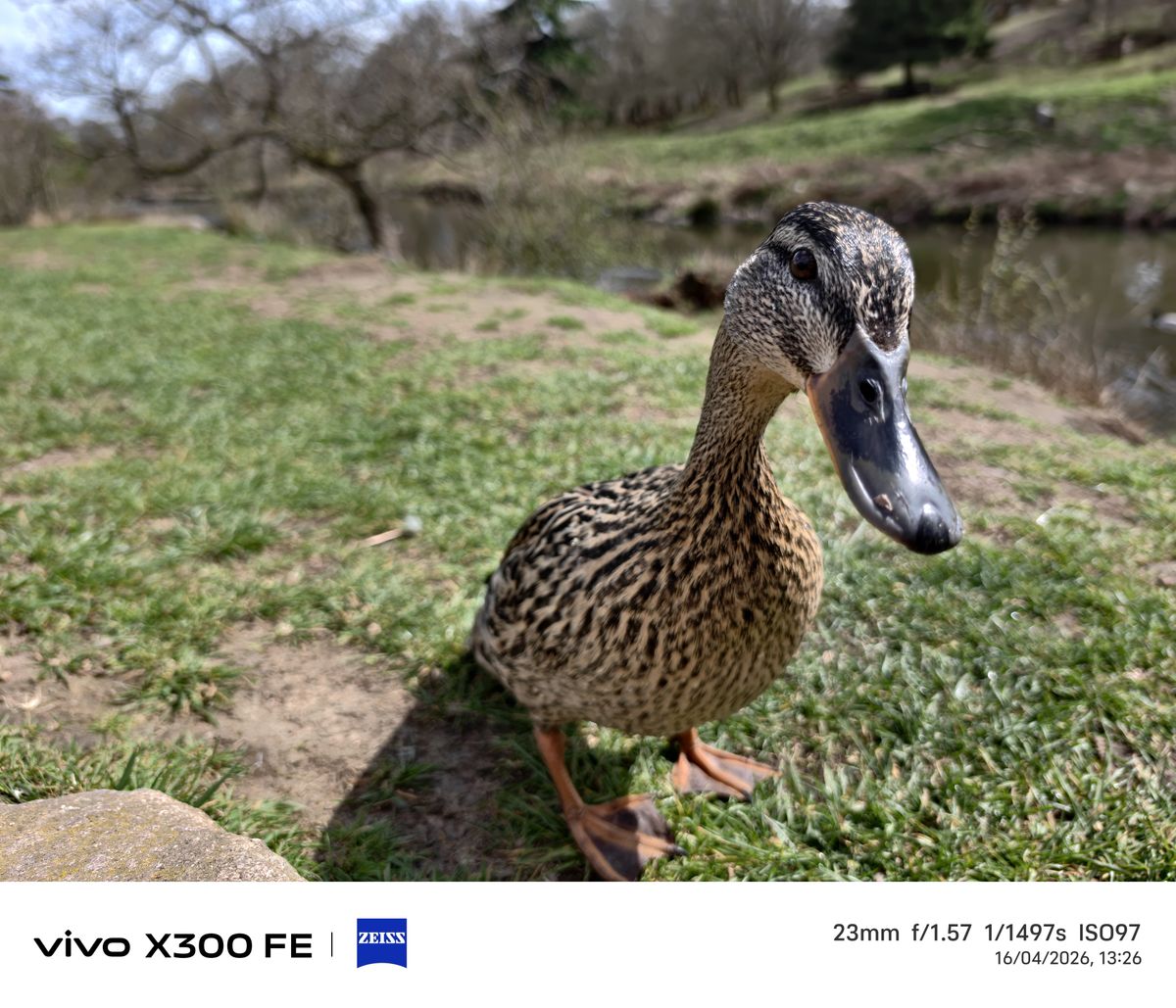 Photo samples from the Vivo X300 FE phone