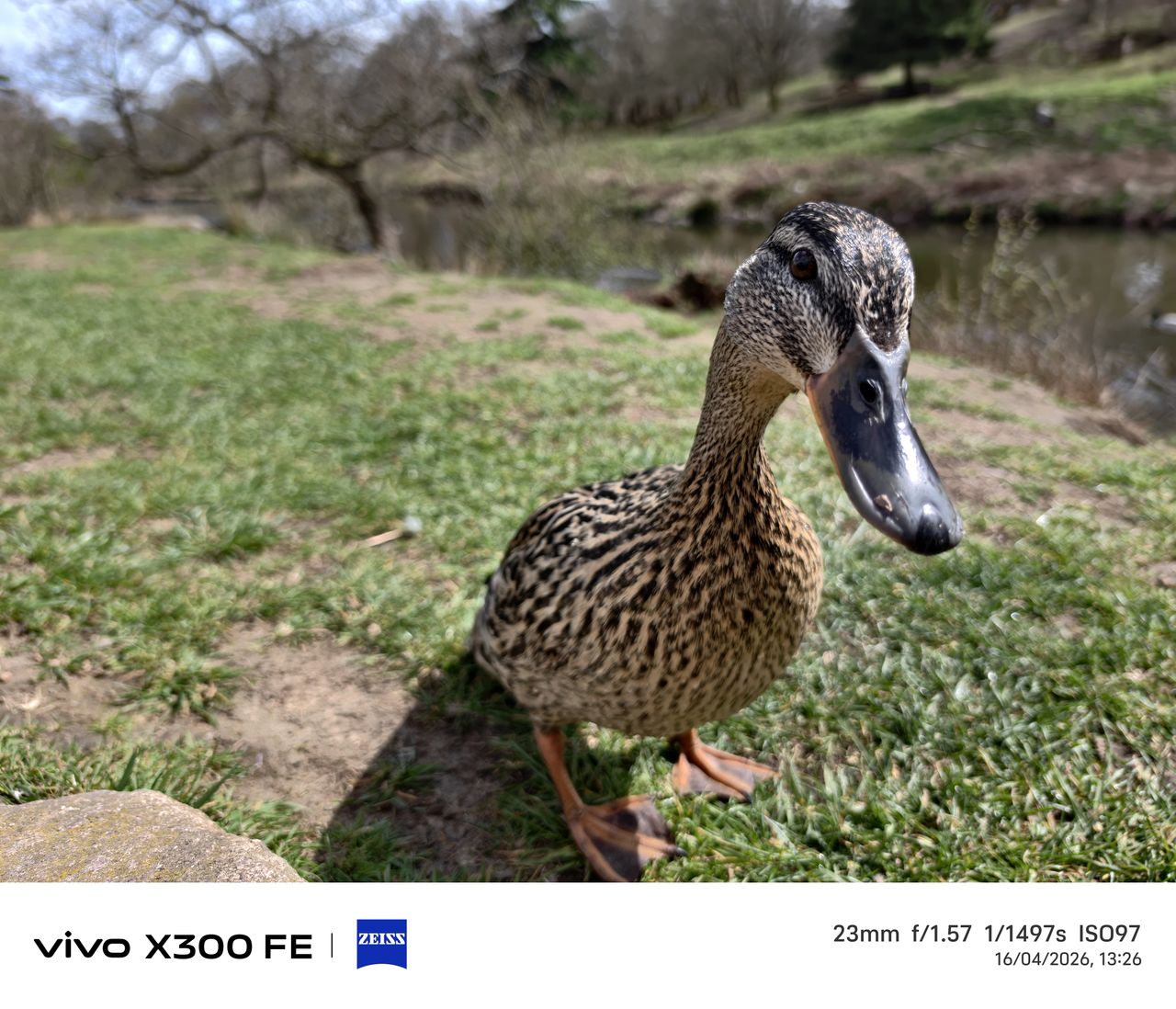 Photo samples from the Vivo X300 FE phone