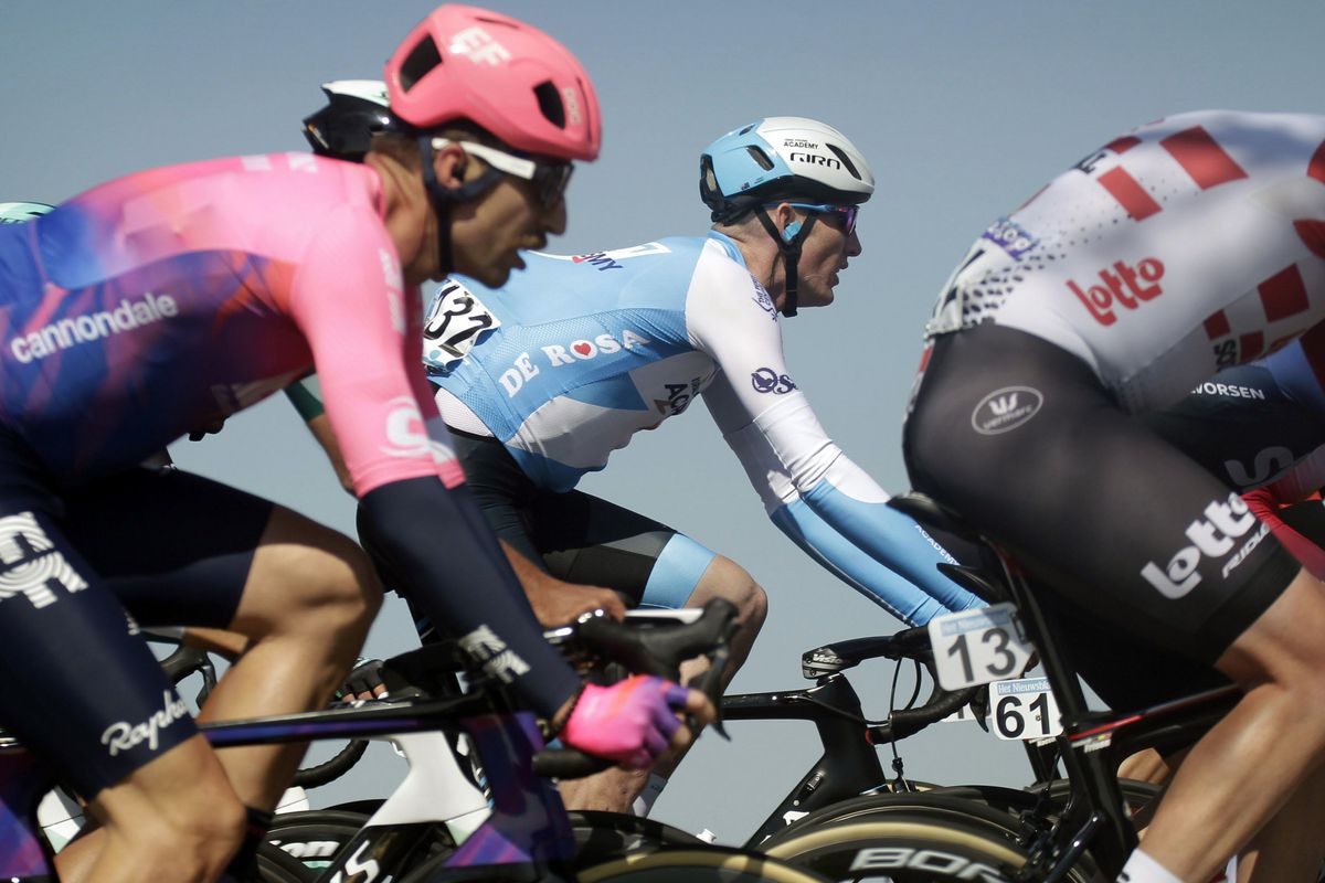 The 2019 Scheldeprijs