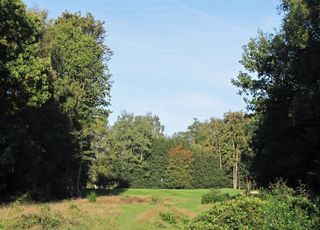 The green at the final par 3, the 15th, is a small target