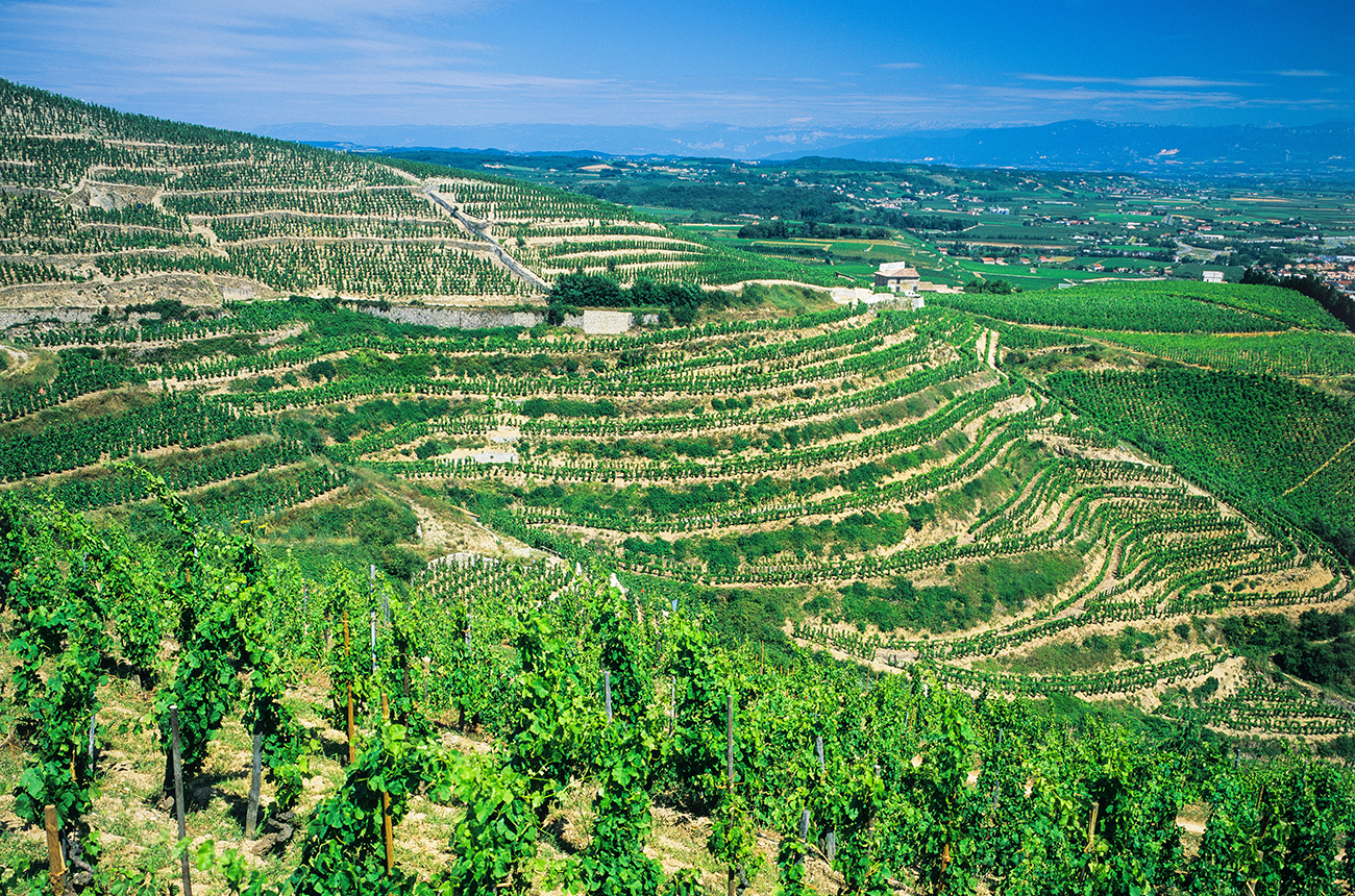 Martine &amp; Christian Rouchier