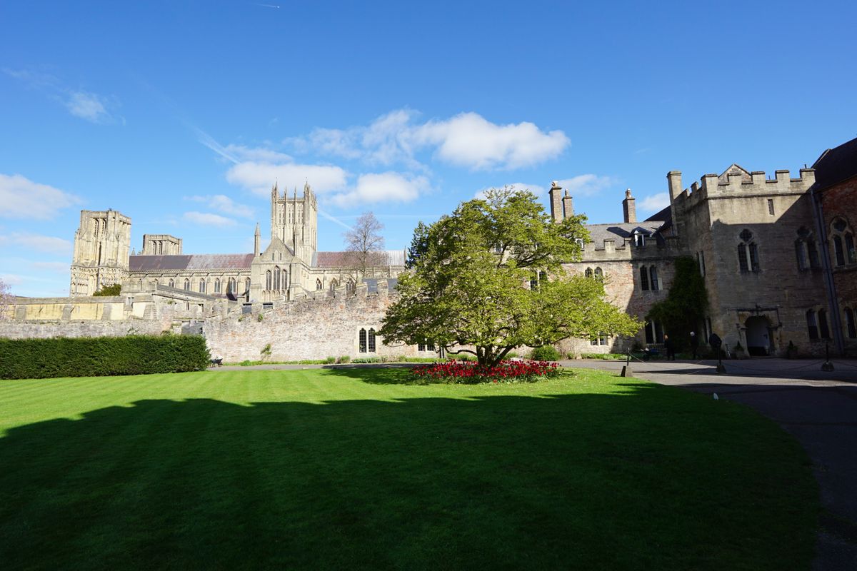 Sigma 12mm f/1.4 DC | C example shot