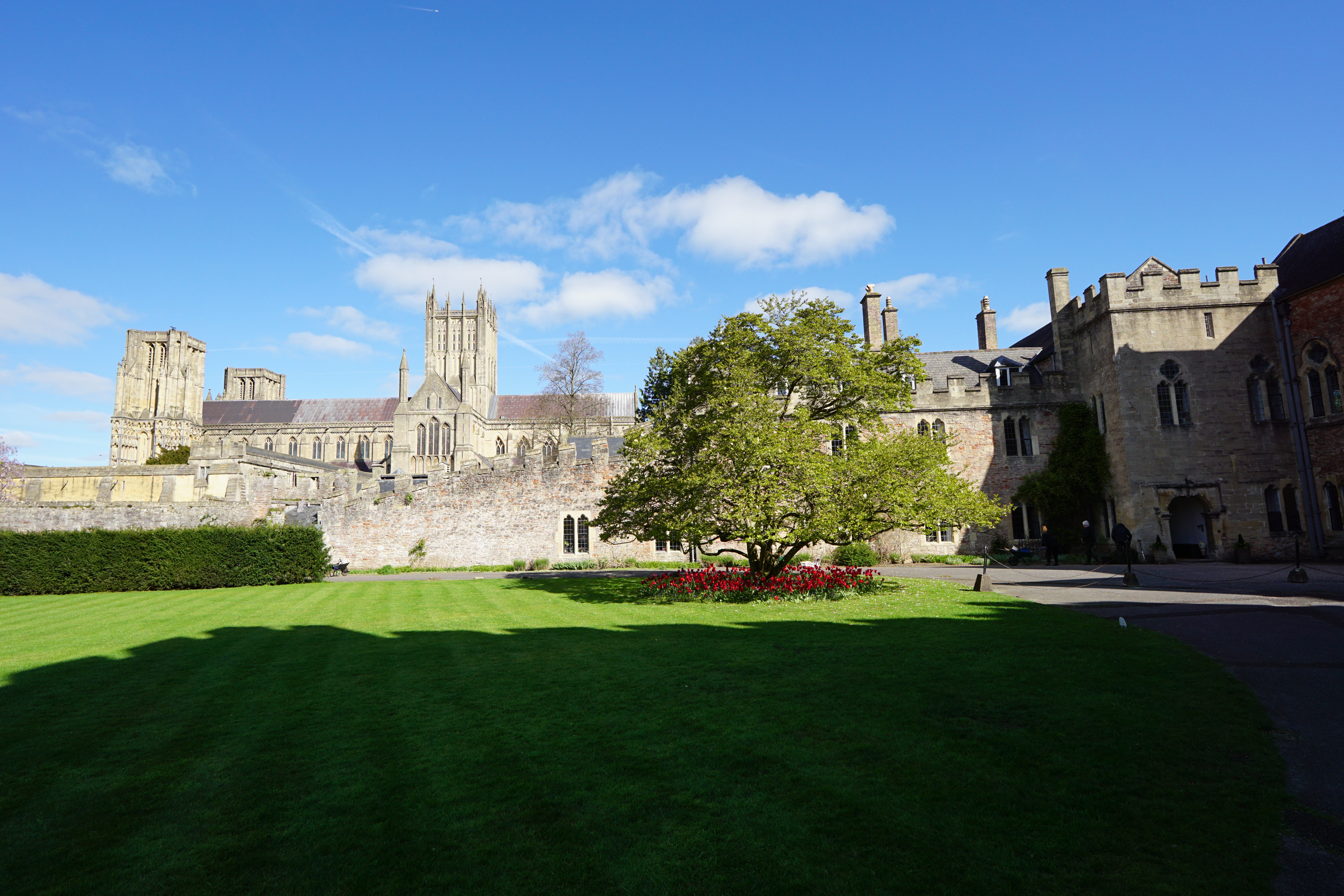 Sigma 12mm f/1.4 DC | C example shot