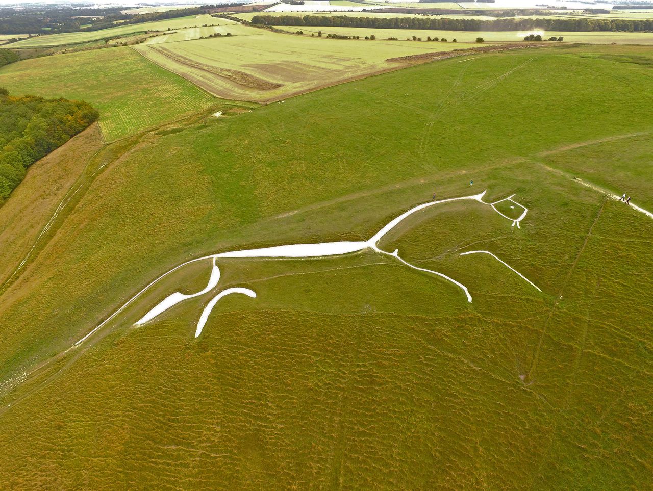 An aerial view of the prehistoric White horse carved into the hillside at Uffington.