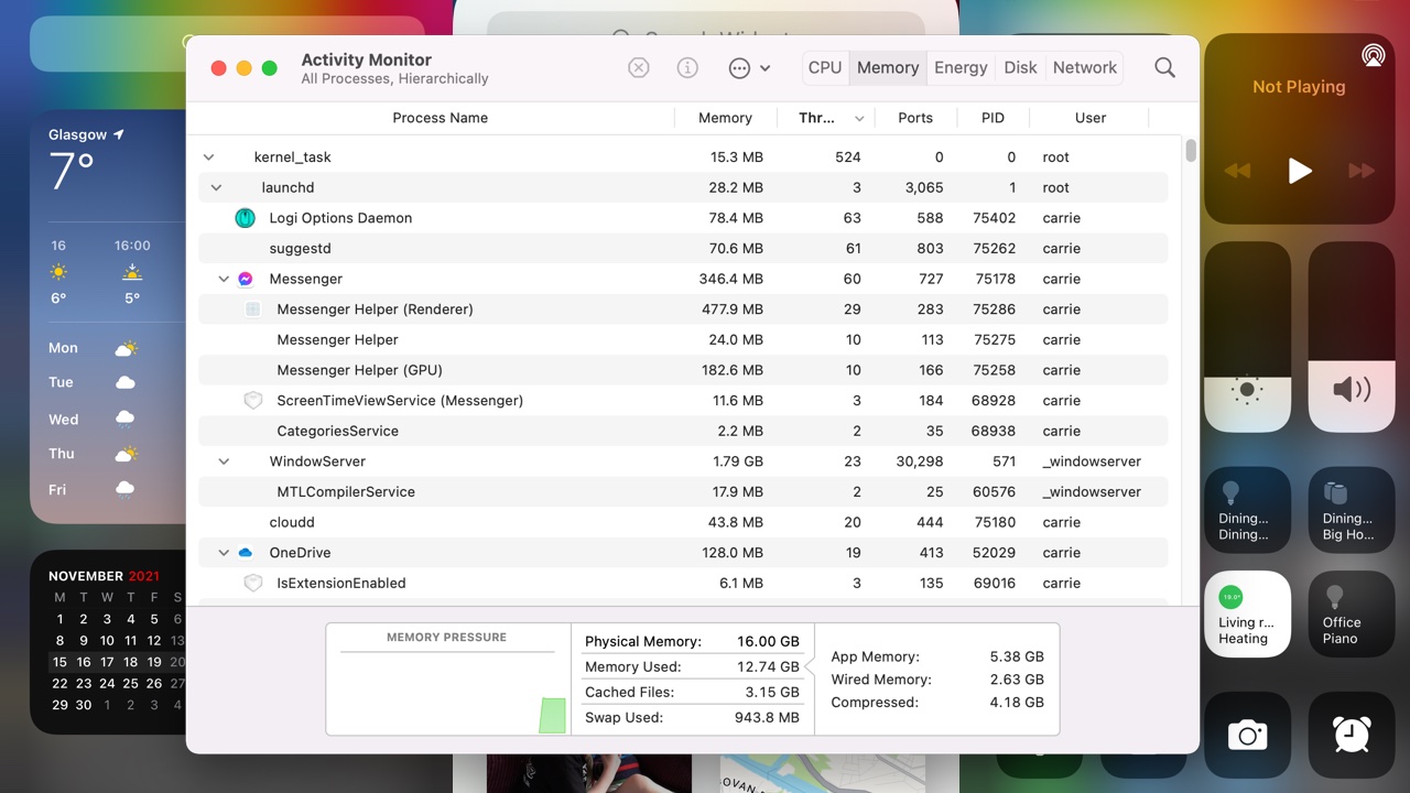 Screen shot showing macOS Activity Monitor window