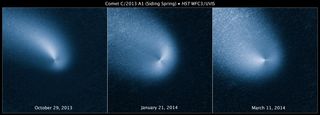 This is a series of Hubble Space Telescope pictures of comet C/2013 A1 Siding Spring as observed on Oct. 29, 2013; Jan. 21, 2014; and March 11, 2014. When processed, the images reveal two dust jets erupting from the comet's nucleus in opposite directions.