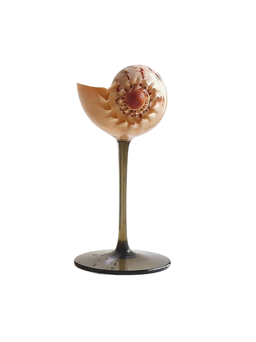 Handmade Shell Wine Glass