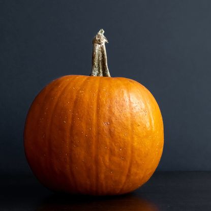 focus on pumpkin with dark background