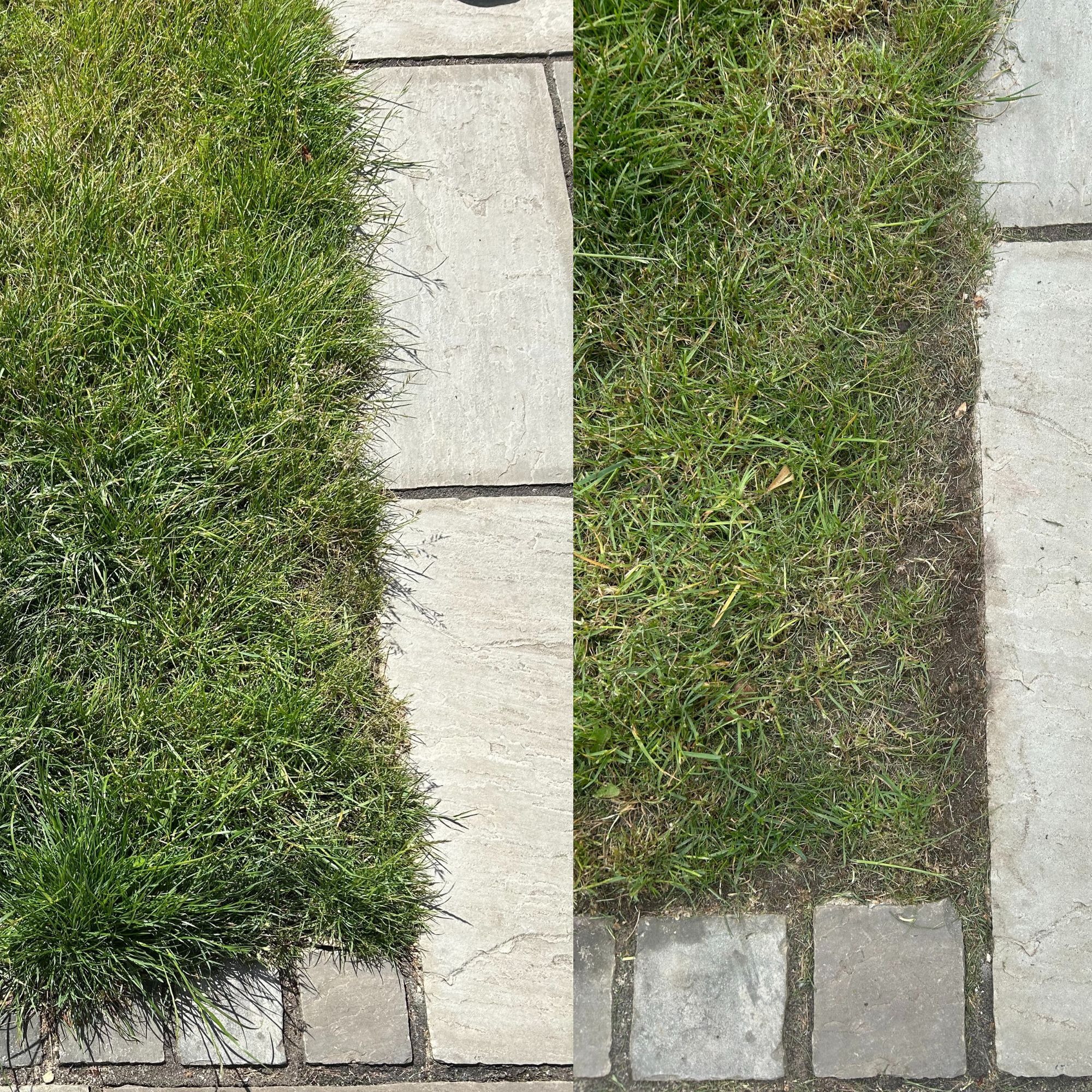 VonHaus G-Series Cordless Grass Trimmer - before and after edging on patio