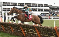 Cole-Harden-Cheltenham.jpeg