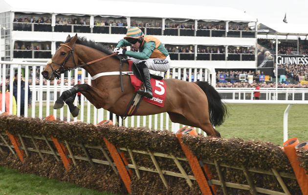 Cole-Harden-Cheltenham.jpeg