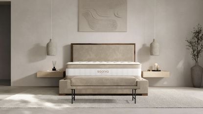 A Saatva Rx mattress in a minimalist cream bedroom on a beige bedframe, with a white rug underneath, and two wooden bedside tables to either side. Above the nightstands are two ceramic hanging lamps, and above the bed is a large grey artwork. To the right is a large grey pot with a tree growing.