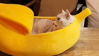 Petgrow Cute Banana Cat Bed House