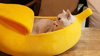 banana cat bed