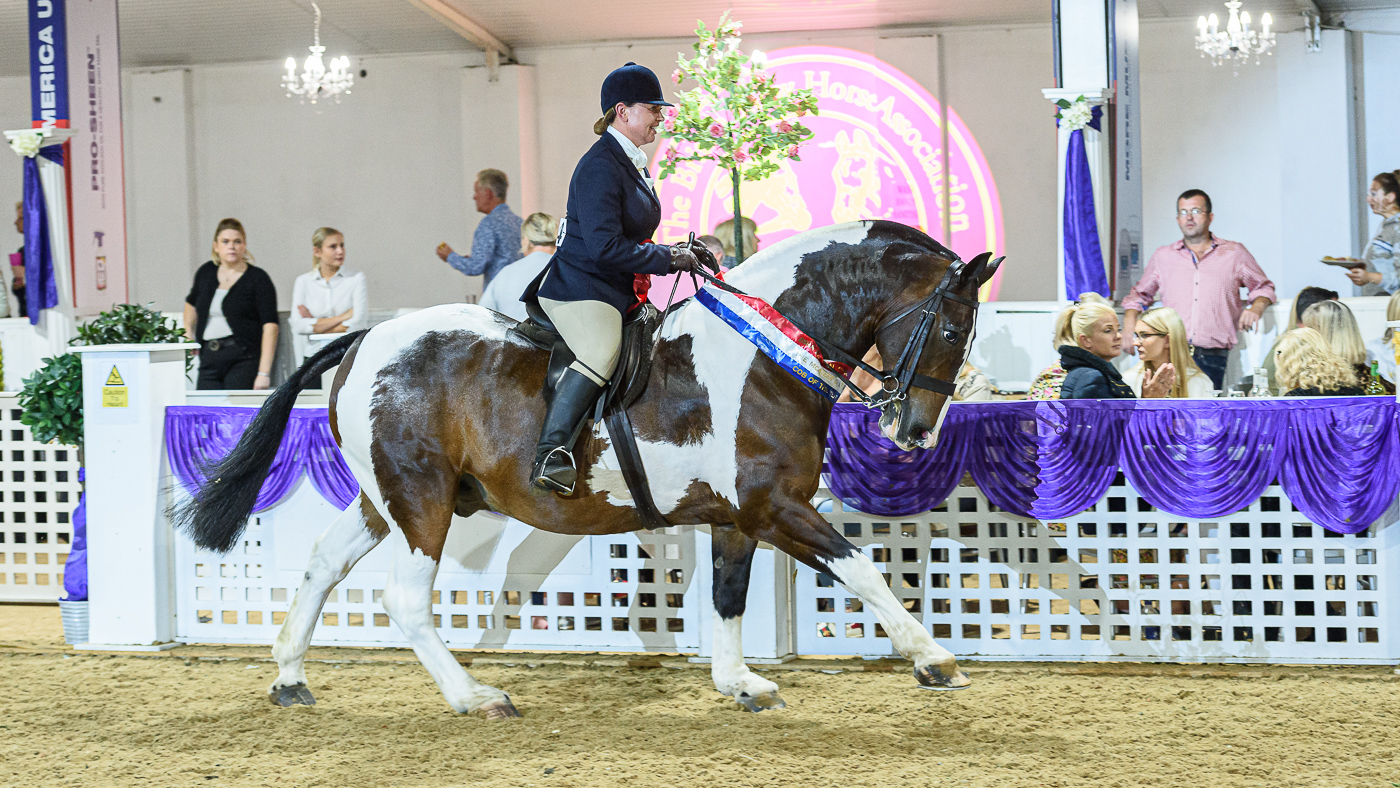 McAteer Classic Cob of the Year