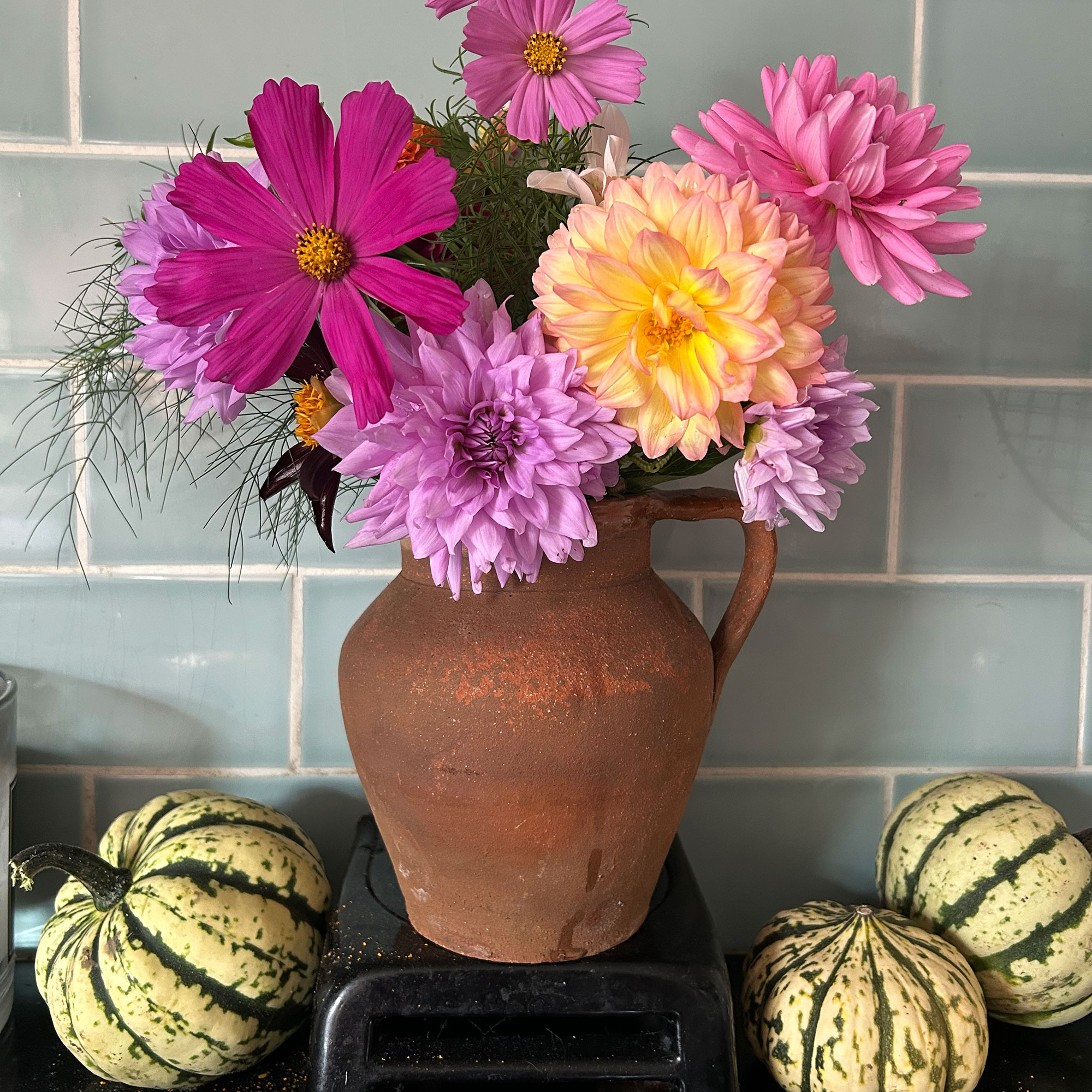 Terracotta jug filled with pink flowers, surrounded by small squash