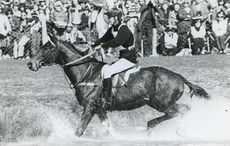 At his first Badminton, Mark and Southern Comfort were 45th after the dressage. But as one of only three inside the time on cross-country day, he was third going into the showjumping &mdash; and when When Lucinda Prior-Palmer and Helen Butler came unstuck in the final phase, Mark clinched the title.