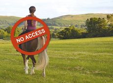 horses-banned.jpg