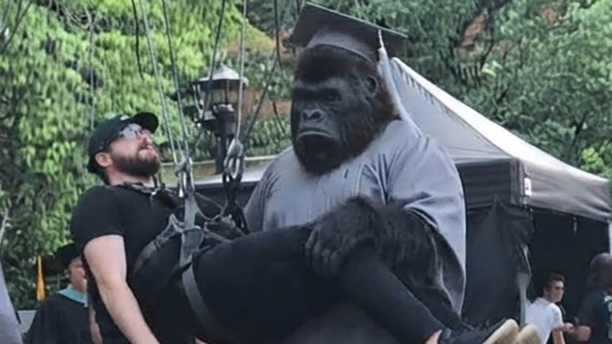 A behind-the-scenes image of a man wearing a gorilla costume while shooting DCU TV show The People v Gorilla Grodd