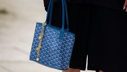 a model carrying a st louis goyard bag with a black outfit