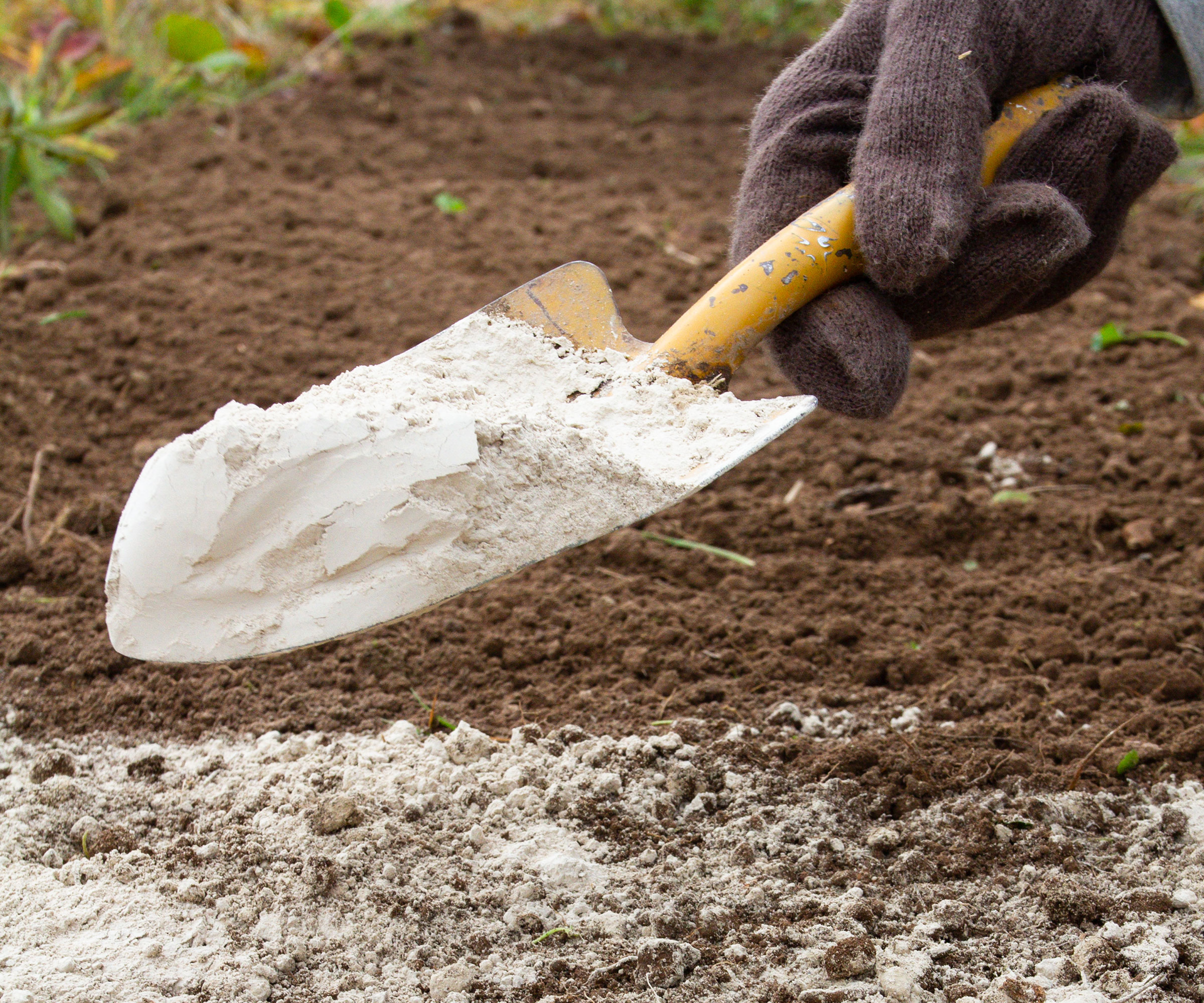 dolomite being sprinkled on soil