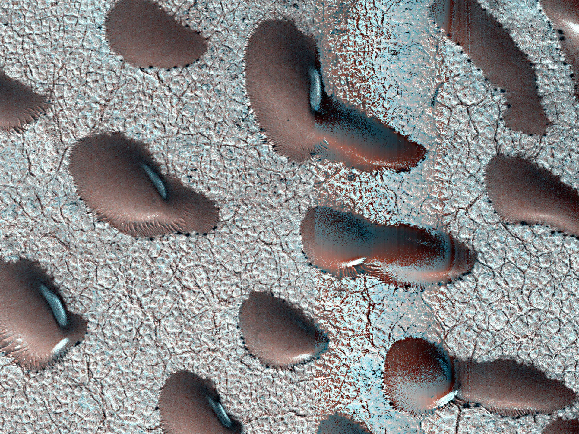 Martian dunes are created and migrate across the surface as the amount of sand grows on one side just as it’s removed from the other by the wind