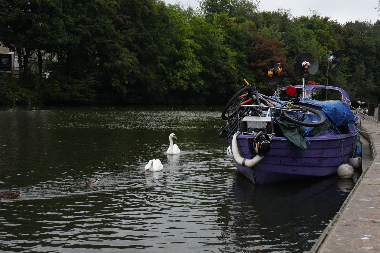 A photo of swans swimming next to a boat moored in the River Avon, Bath, taken on a Sony ZV-E10 II vlogging camera