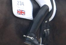 dressagenew.jpg