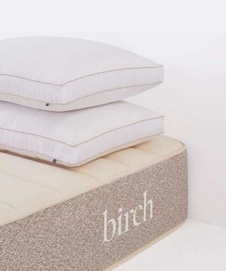 Two pillows balanced on a Birch Plush Organic Mattress.