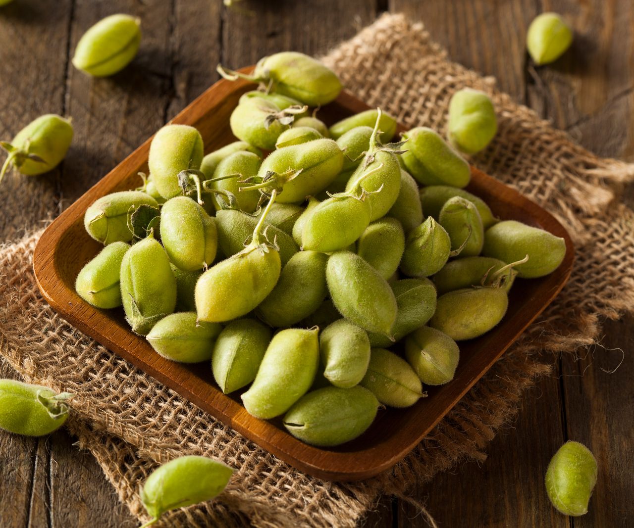 How to grow chickpeas expert tips to grow garbanzo beans Homes & Gardens