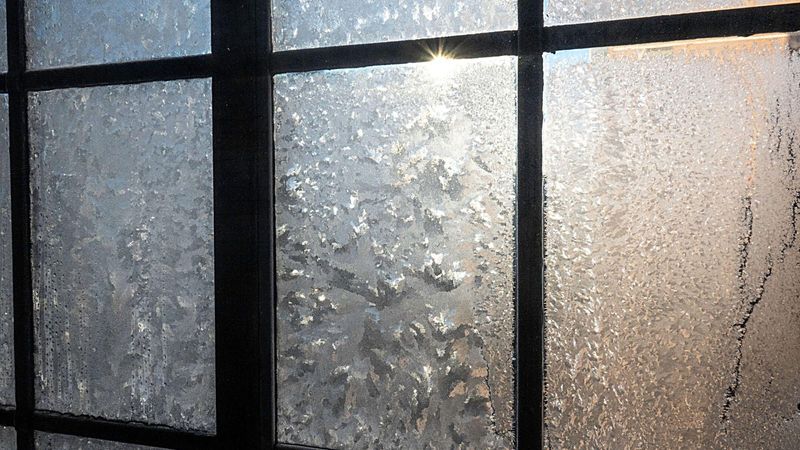 What causes frost on the inside of windows? | Homes and Gardens