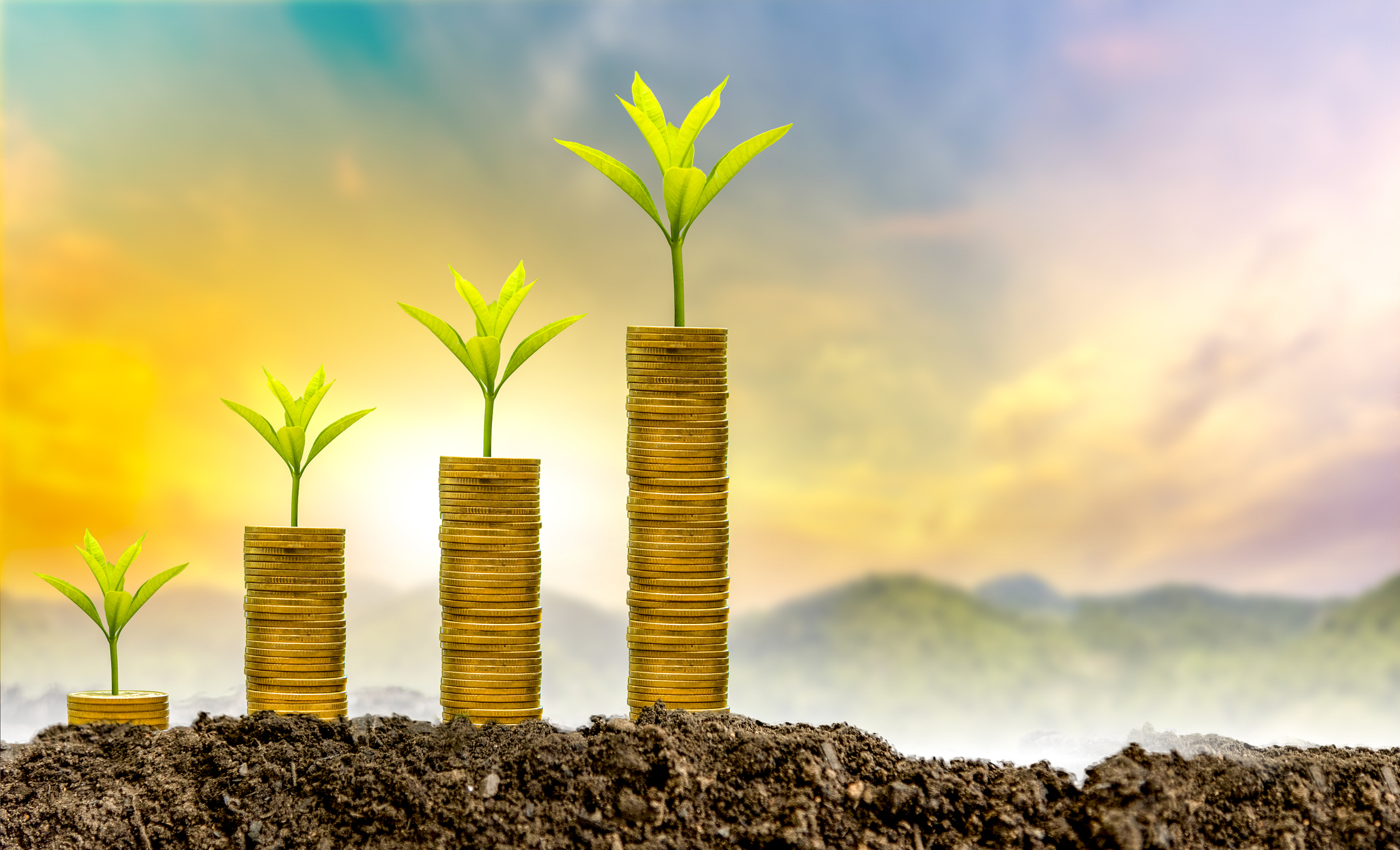 The tree is growing, both money progress and financial reports, along with investments on the investors' desk. Front investment concept