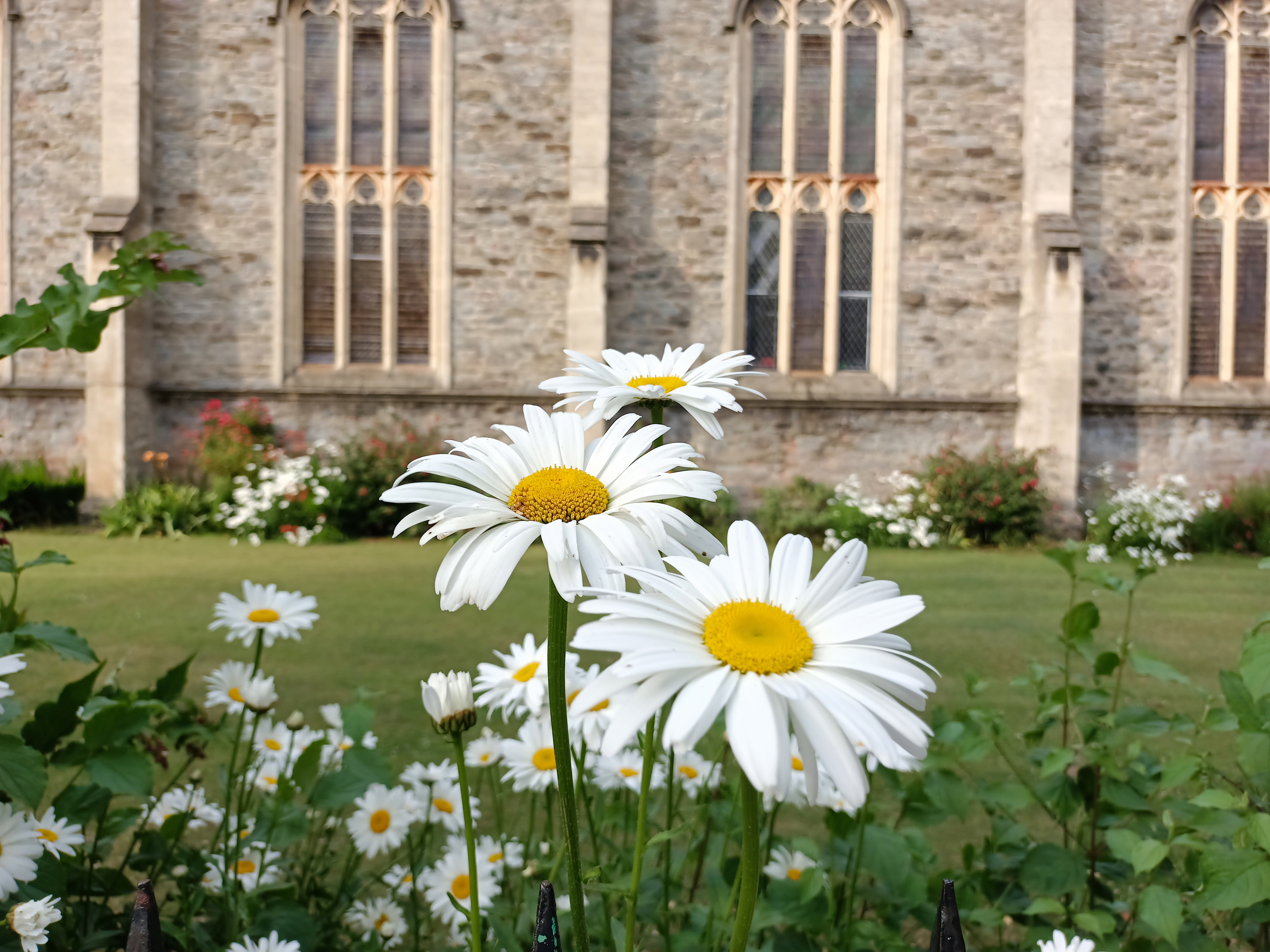 Flowers outside a church