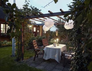 A garden pergola in the evening with climbing plants growing up it