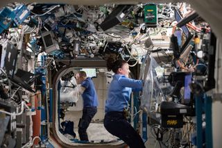 Astronauts at work facilitating experiments on the International Space Station. In the foreground, NASA astronaut Serena Auñón-Chancellor conducts research operations inside the Microgravity Science Glovebox (MSG) for the Angiex Cancer Therapy study. NASA astronaut Drew Feustel is seen in the background, working on the Microgravity Investigation of Cement Solidification (MICS) experiment.