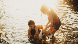 Dog playing with children in water