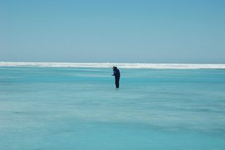 A rubber-suited Ken Golden wades into icy Arctic waters to measure the depth of this melt pond. Understanding how environmental conditions like temperature and incoming solar radiation affect percolation, or the movement of water up and down through sea ice, could help scientists better predict how sea ice might respond to changes in its environment.