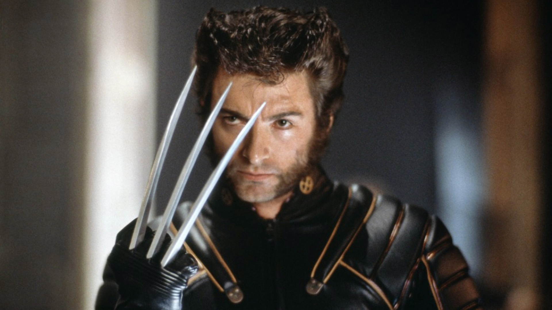 Wolverine