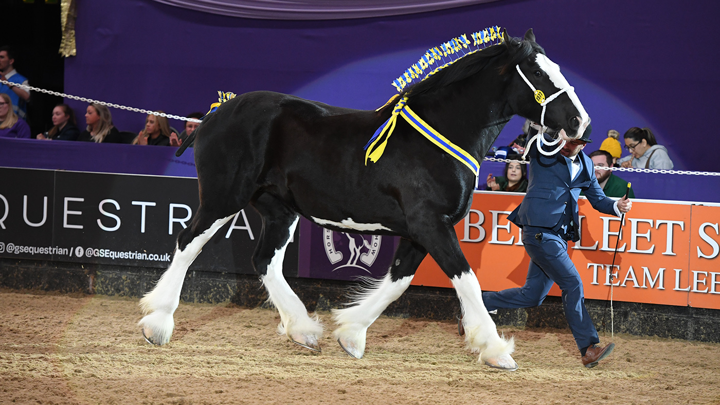 HOYS 09 10 22