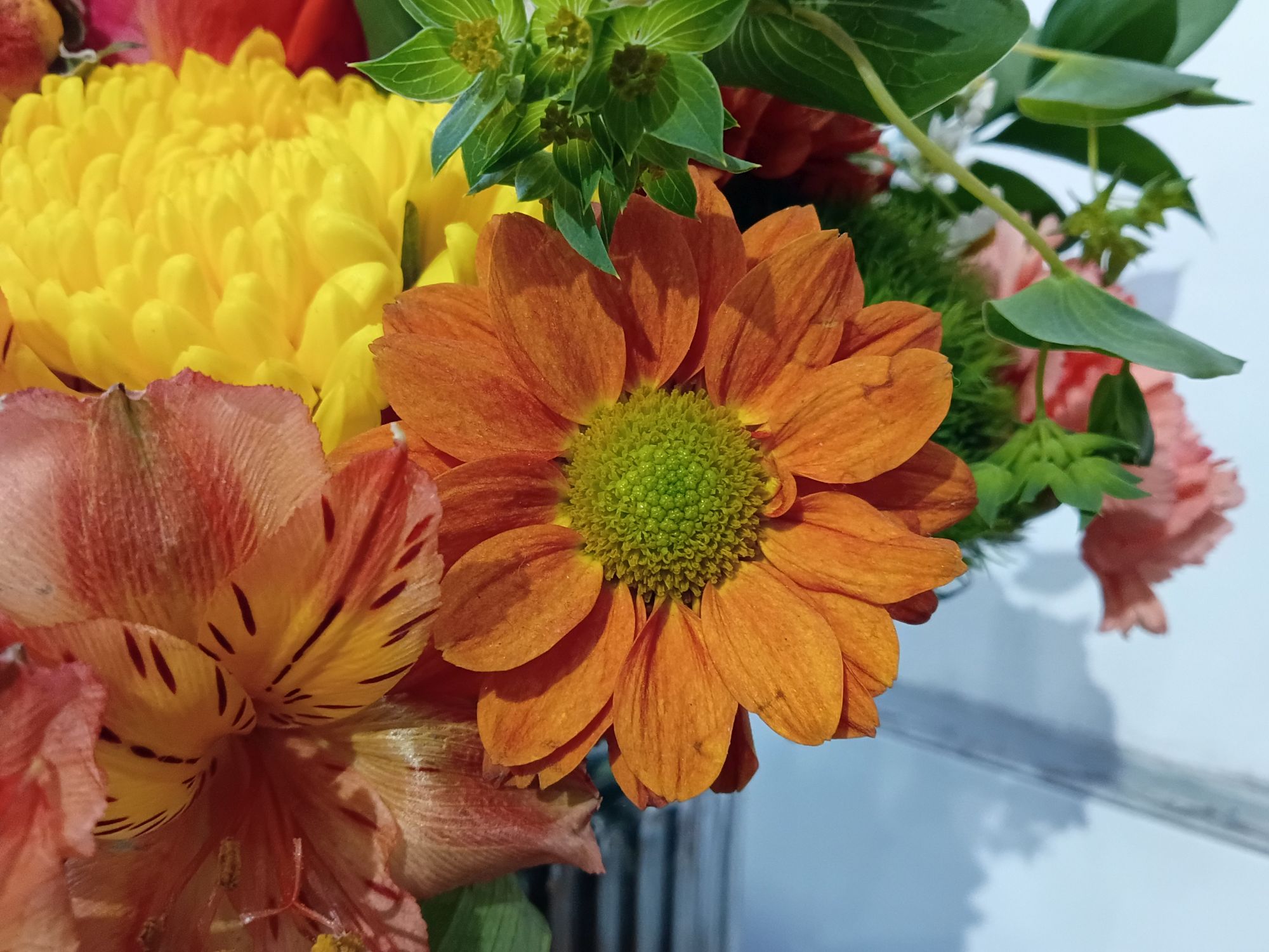 Motorola Moto G Play (2026) camera sample.