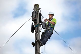 pole climber