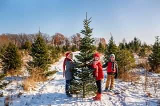 Three children stood next to a Christmas tree in the snow