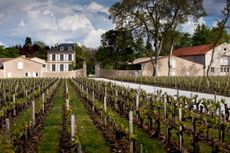 Bordeaux vintages ending in 4