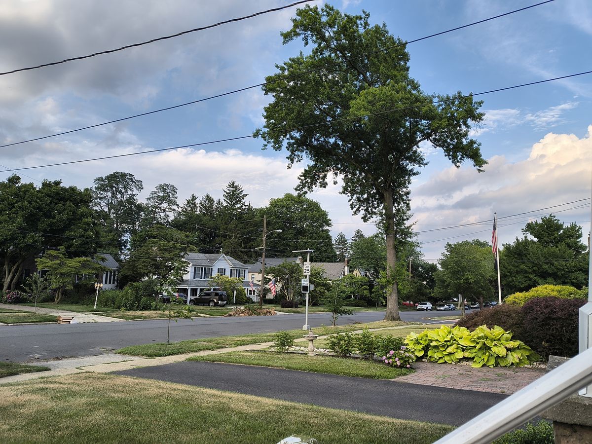 tree-lined street showing manicured grass areas and asphalt road surface